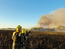 Matinsa obtains the fire prevention and extinguishing service contract for the eastern area of the Region of Madrid