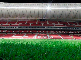 El Wanda Metropolitano, construido por FCC, acogerá la final de la Champions League en 2019